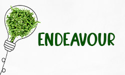 Endeavour ~ Definition, Meaning & Use In A Sentence